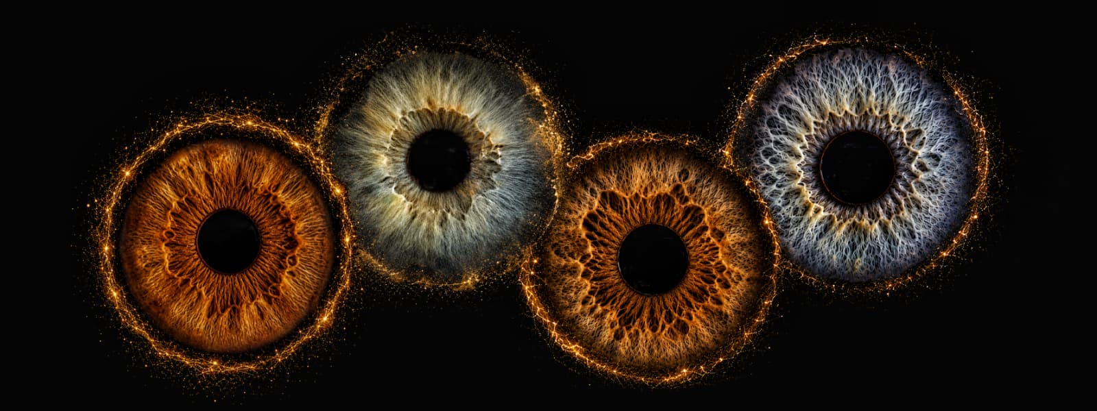 Irisfoto1